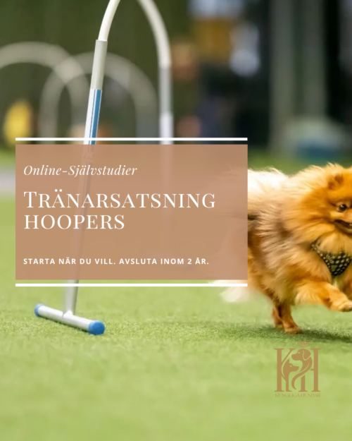 Tränarsatsning Hoopers