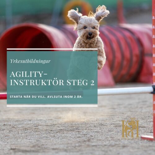 Agilityinstruktör Steg 2