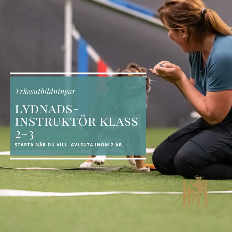 Tävlingslydnadsinstruktör Klass 2-Klass 3