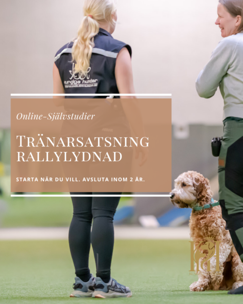 Tränarsatsning Rallylydnad