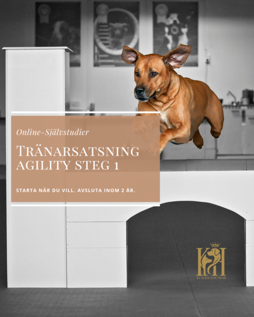 Tränarsatsning Agility steg 1