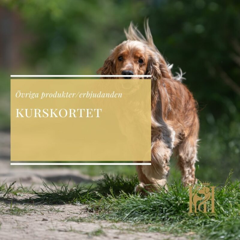 Kurskortet