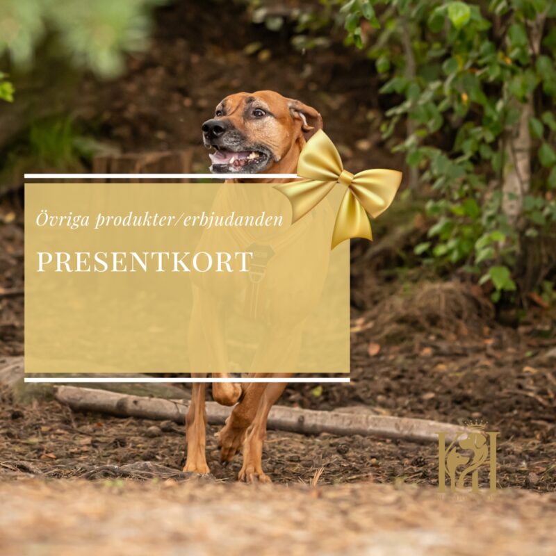 Presentkort