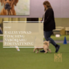 Rallylydnad Coaching Nybörjare/Fortsättning