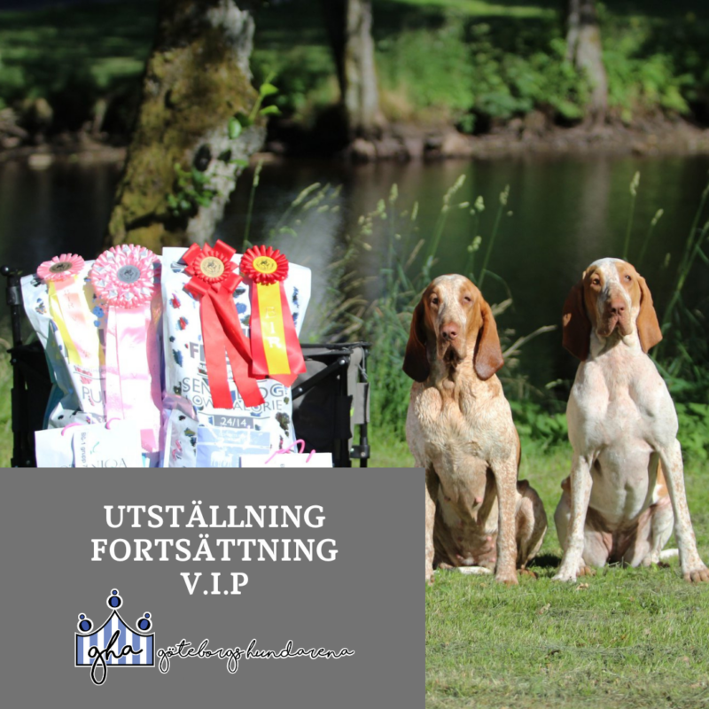 Utställning fortsättning V.I.P