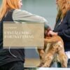 Utställning fortsättning V.I.P