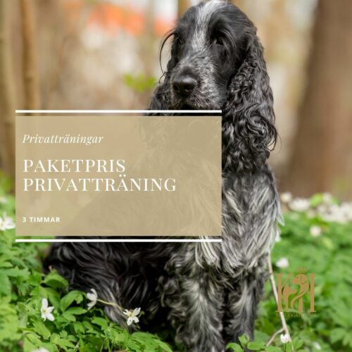Paketpris 3 timmars privatträning