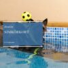 Simkörkort (5-tillfällen)