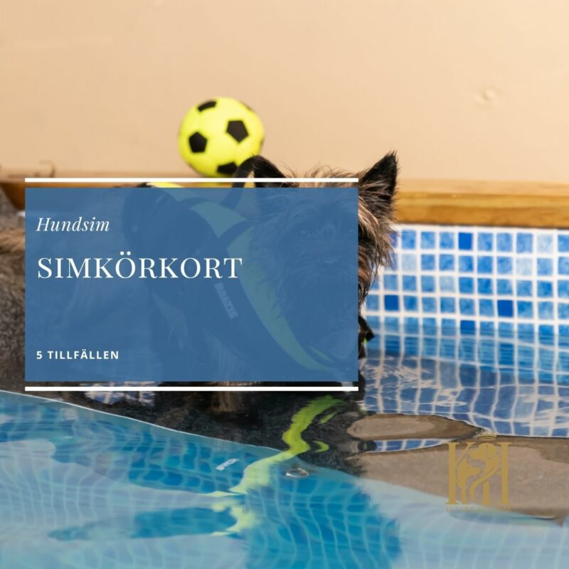 Simkörkort (5-tillfällen)