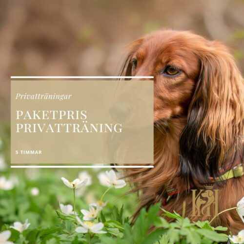 Paketpris 5 timmars privatträning
