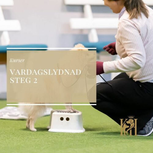 Vardagslydnadskurs steg 2