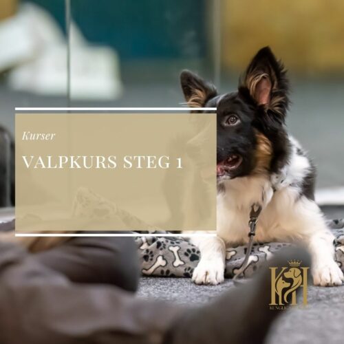 Valpkurs steg 1