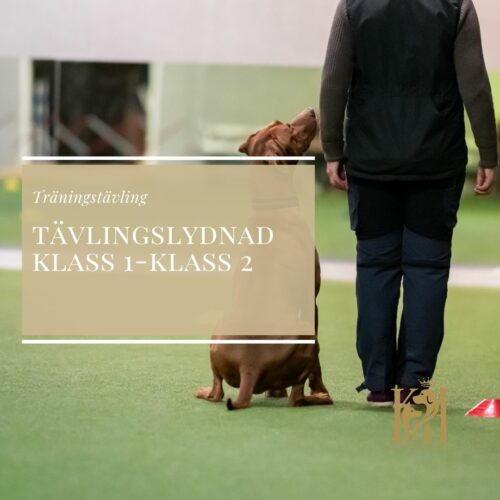 Träningstävling Tävlingslydnad Klass 1-Klass 2 den 17/10