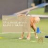 Tävlingslydnad Klass 2- Klass 3