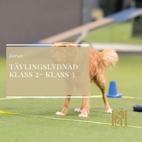 Tävlingslydnad Klass 2- Klass 3