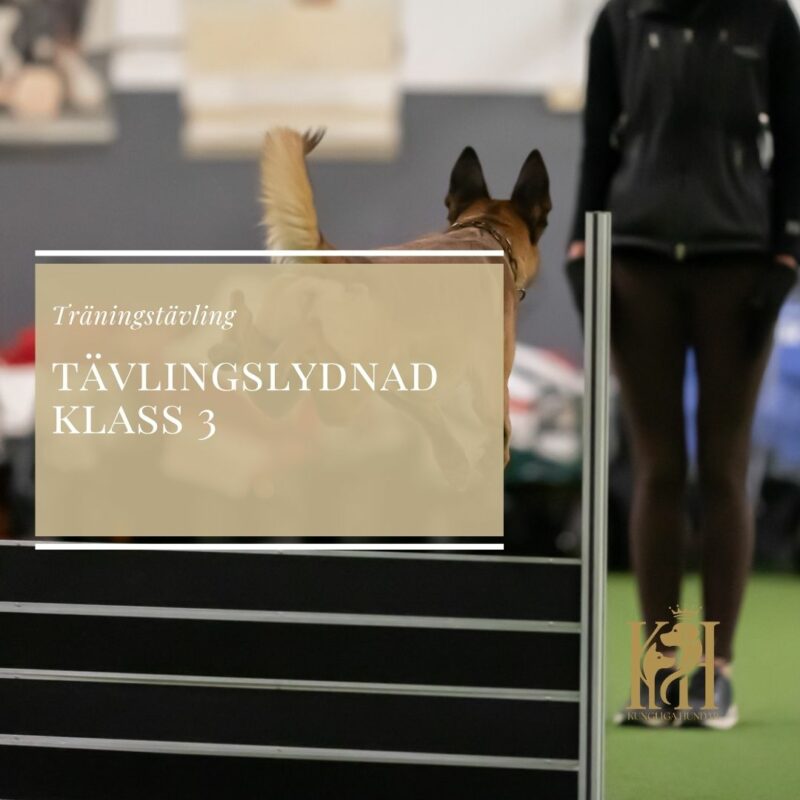 Träningstävling Tävlingslydnad Startklass-Klass 3 den 22/8