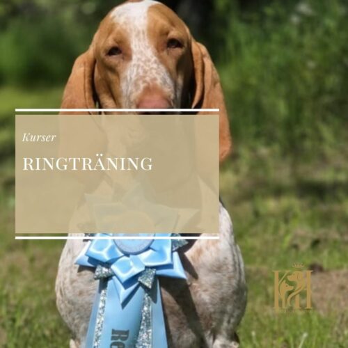 Ringträning