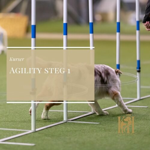 Agility steg 1