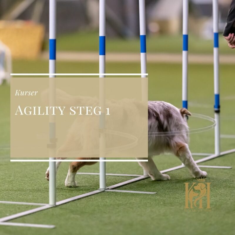 Agility steg 1