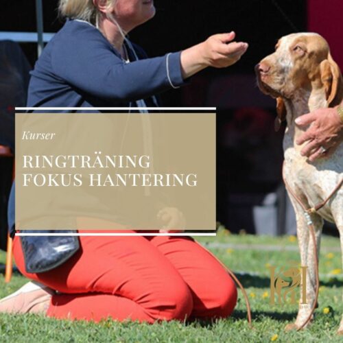 Ringträning med fokus på hantering