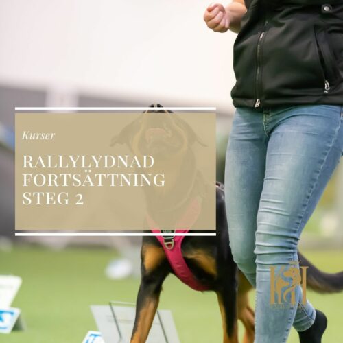 Rallylydnad Steg 2 nybörjare och fortsättning