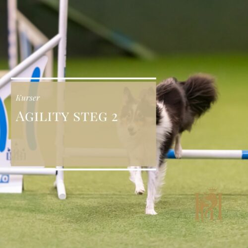Agility steg 2