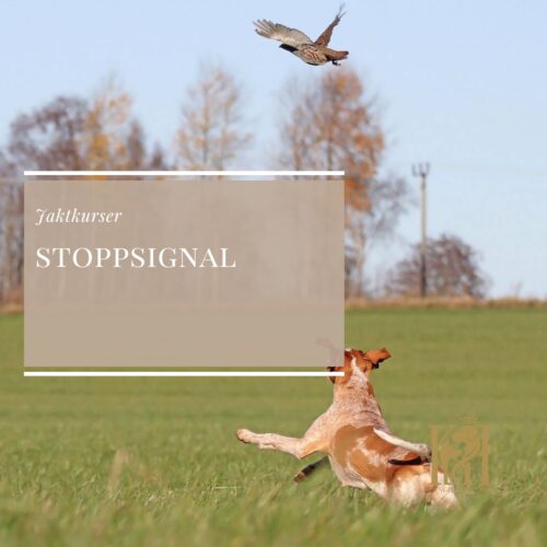 Stoppsignal