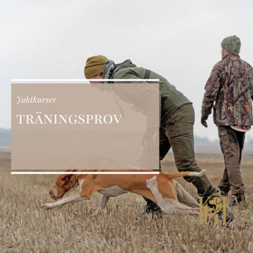 Träningsprov inför ESG