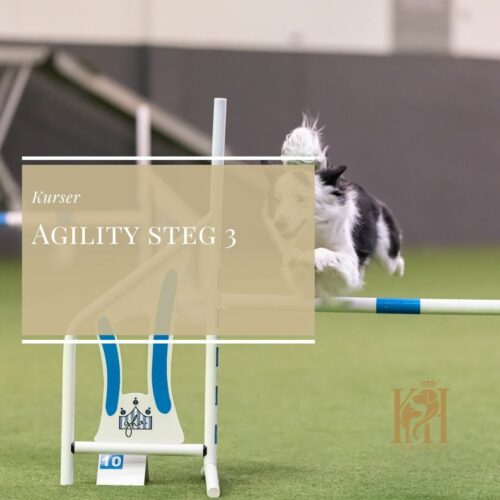 Agility steg 3