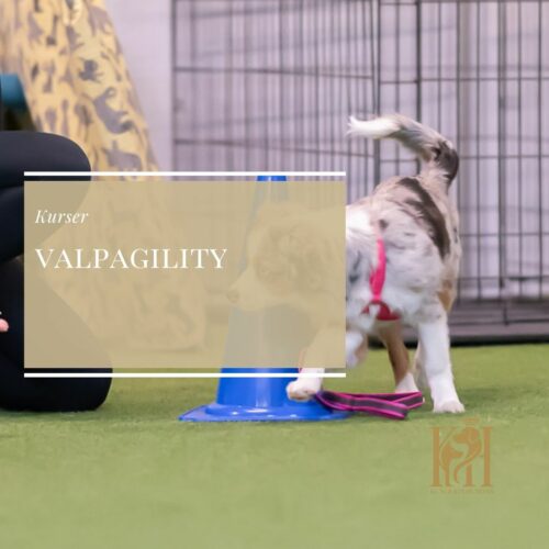 Valpagility