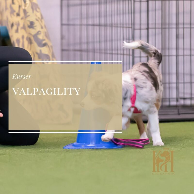 Valpagility