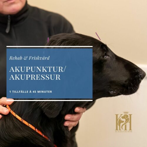 Akupunktur/akupressur 1 tillfälle, 45 min