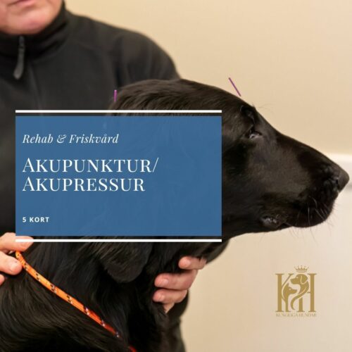 Akupunktur/akupressur 5-kort