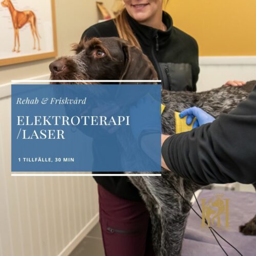 Elektroterapi/Laser 1 tillfälle, 30 min