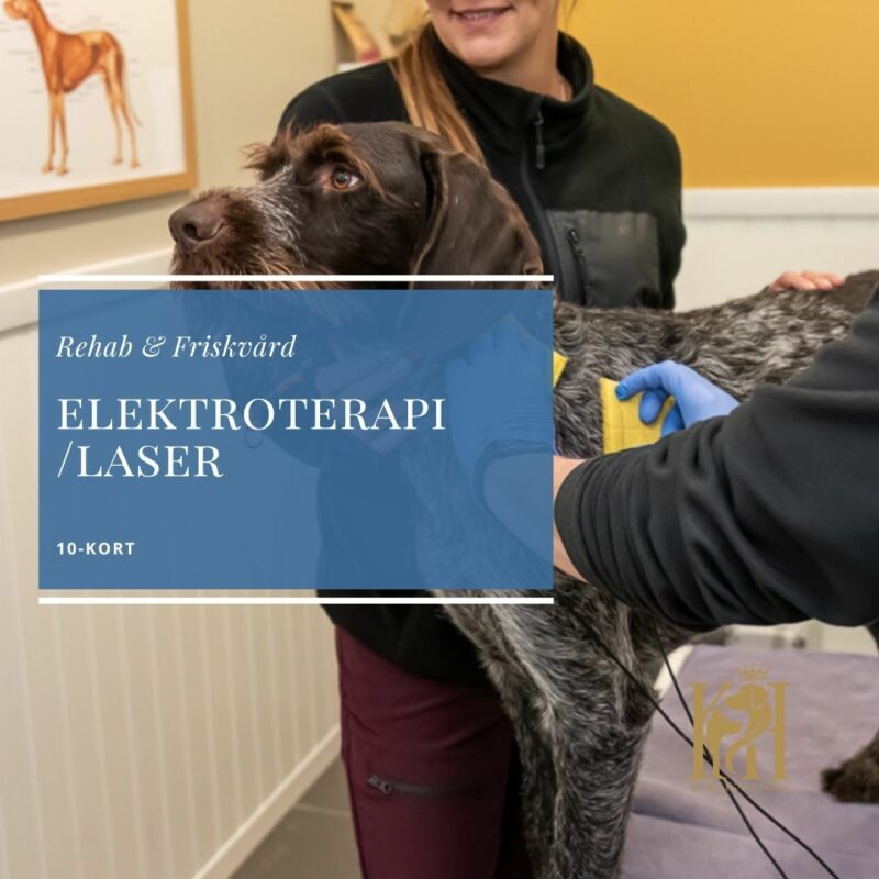 Elektroterapi/Laser 10-kort