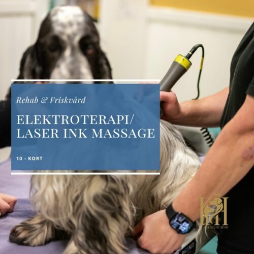 Elektroterapi/Laser inkl. Massage 10-kort