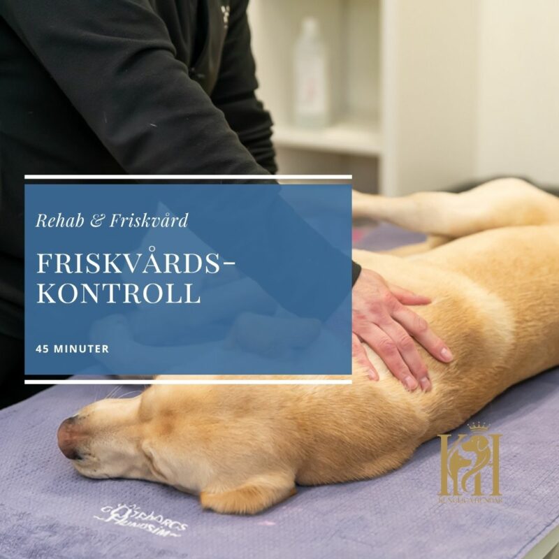 Friskvårdskontroll 45 min