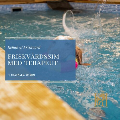 Friskvårdssim med terapeut 1 tillfälle, 30 min