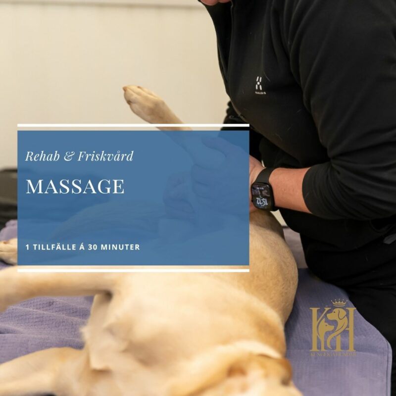 Massage 1 tillfälle, 30 min