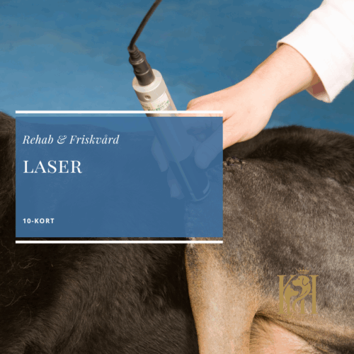 Laser 10-kort