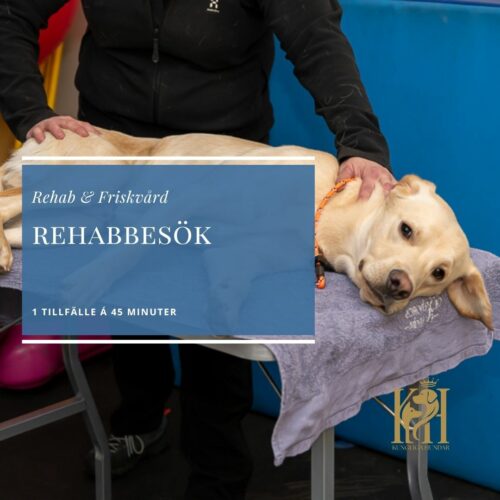 Rehabbesök 1 tillfälle, 75 min