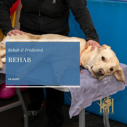 Rehab 10-kort