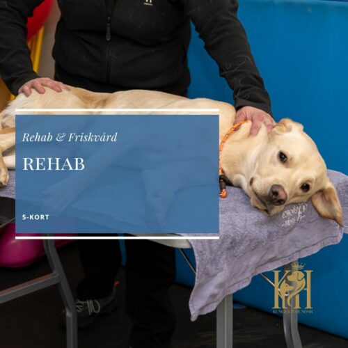 Rehab 5-kort
