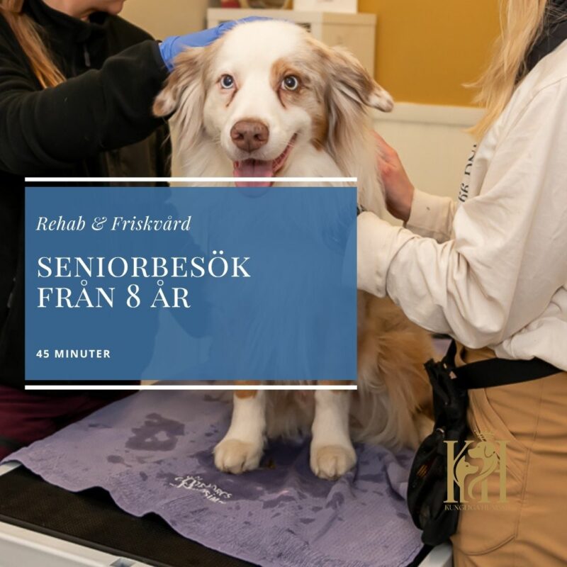 Seniorbesök från 8 år, 45 min