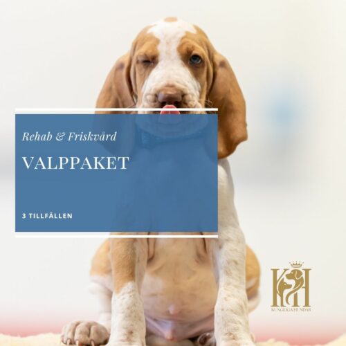 Valppaketet 3 tillfällen, 45 min per tillfälle