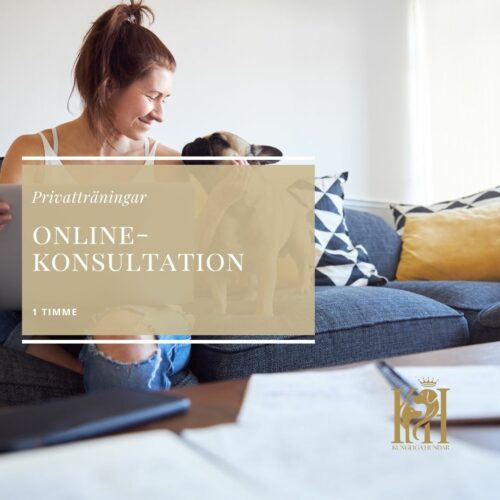 Onlinekonsultation 1 timme