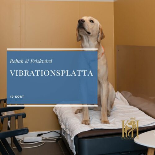 Vibrationsplatta 10-kort