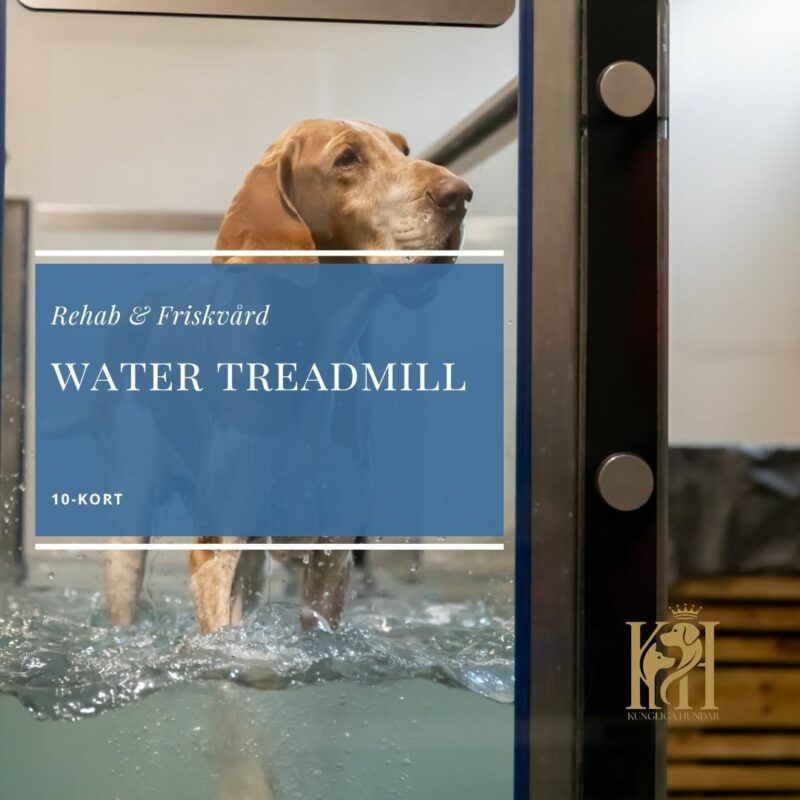 Water treadmill 10-kort