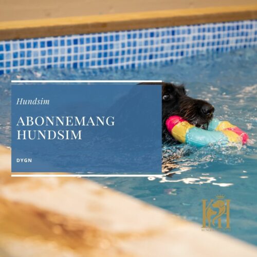 Abonnemang hundsim-Dygn