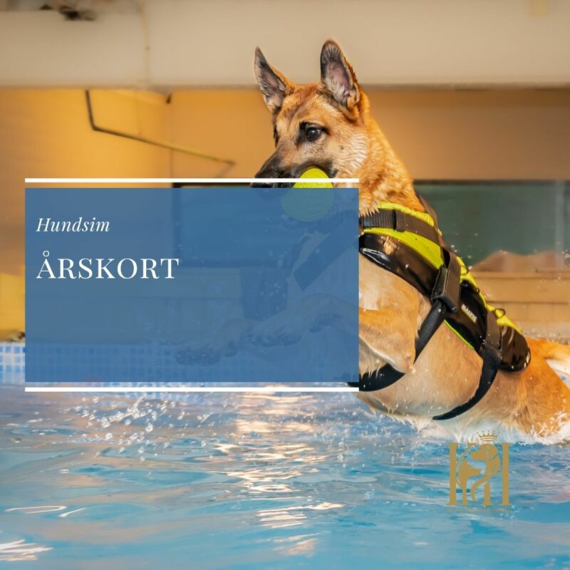 Årskort hundsim inkl. vibb
